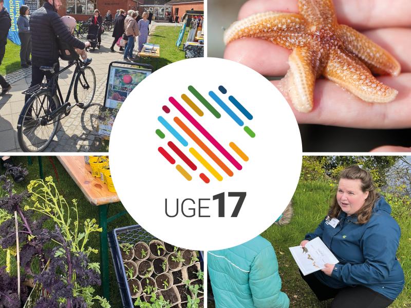 Uge 17 logo og billeder fra Uge 17.