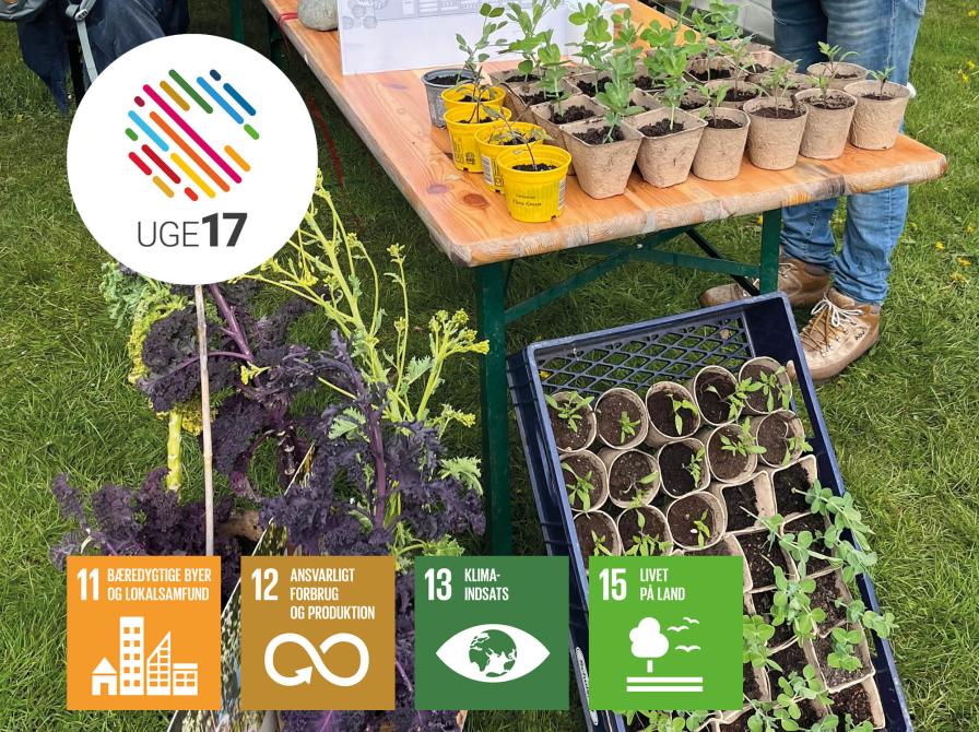 Små grønne spirende planter. Uge 17 logo. Verdensmål 11, 12, 13 og 15.